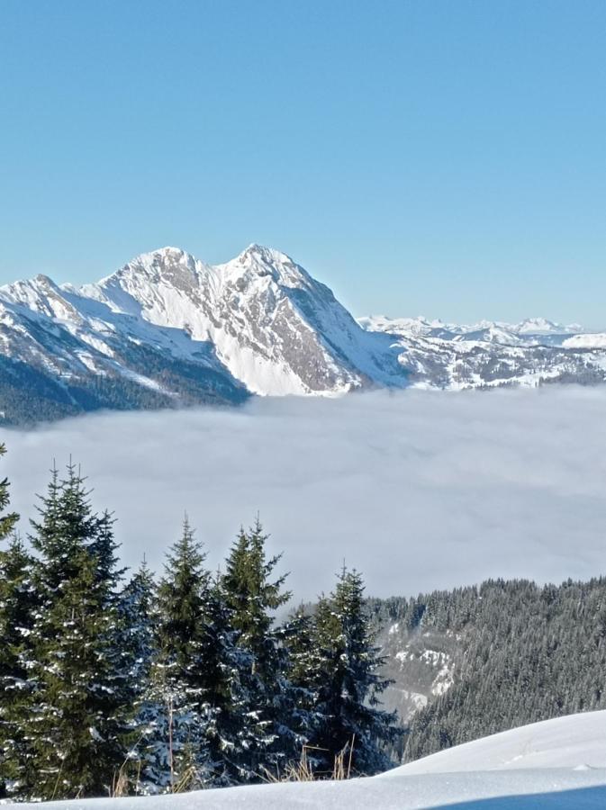 Landhaus Rosner Apartment Dorfgastein Bagian luar foto